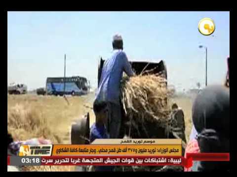 فيديو توريد مليون و375 ألف طن قمح محلي وجار متابعة كل الشكاوى