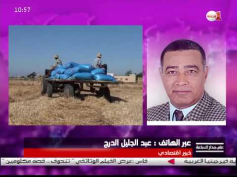 بالفيديو  قراءة في تـأثير قلة الأمطار وانعكاساتها على إنتاج الحبوب