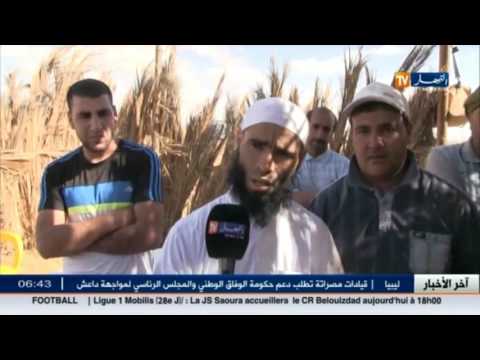 شاهد أخبار المجتمع الجزائري