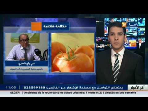 بالفيديو  فلاحو شعبة الطماطم الصناعية يطالبون بضمان التحويل لمنتوجاتهم