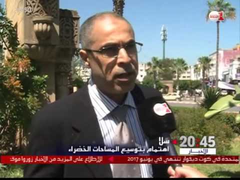 الاهتمام بتوسيع المساحات الخضراء في سلا