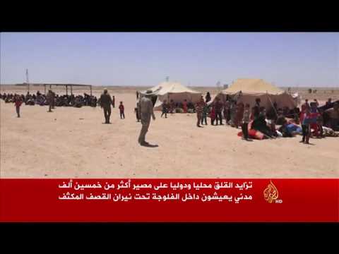 تزايد القلق محليًا ودوليًا على مصير سكان الفلوجة