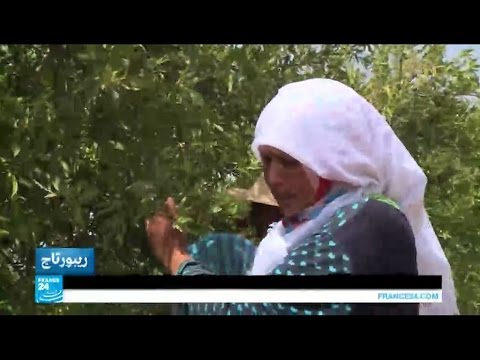 معاناة نساء الريف التونسي وكفاحهن