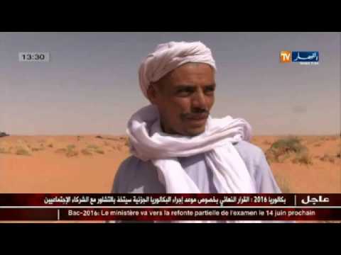 شاهد موجز الأخبار المحلية