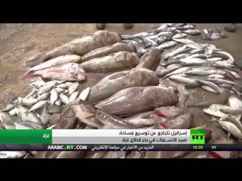 بالفيديو شاهد إسرائيل تواصل تضييقها على الصيادين بغزة