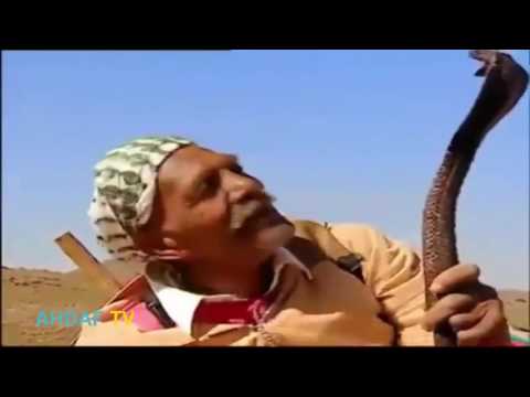 بالفيديو شاهد مغربي على قناة فرنسية يمسك الثعابين بطريقة عجيبة