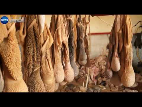 بالفيديو تسويق لحوم وسط الأوساخ والروائح الكريهة في المذبح البلدي لبرهوم