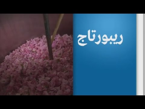 مدينة غراس الفرنسية وجهة المهتمين بعالم العطور