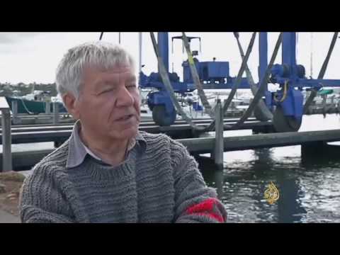 جهود في أستراليا لحماية المحار من الاندثار