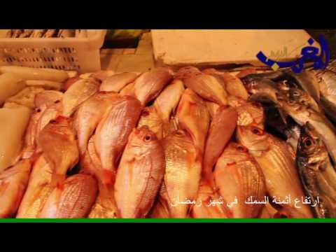 ارتفاع أسعار السمك في المغرب في شهر رمضان