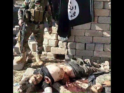 البيشمركة تقتل 400 شخص منتمين إلى داعش