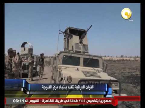 القوات العراقية تتقدم تجاه مركز الفلوجة