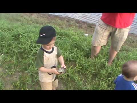 شاهد رد فعل طفل تحركت سمكة في يده