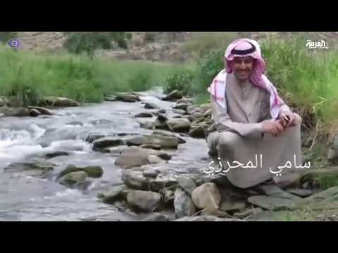 انطلاق فعاليات مهرجان أبها يجمعنا