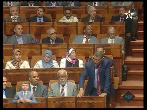 شاهد فريق المصباح يطالب بلجنة تقصي الحقائق في نفايات إيطاليا
