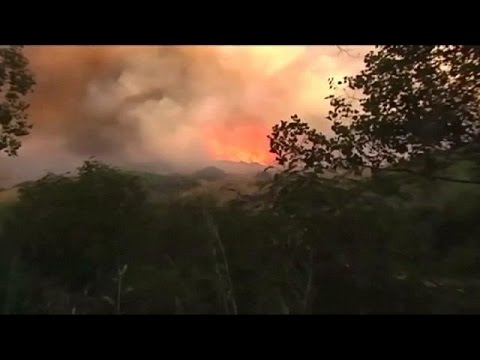 السيطرة على حرائق الغابات في مقاطعة مالقة