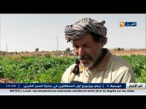 شاهد  الأخبار المحلية الجزائرية  لليوم الاثنين