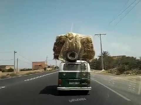 عجائب وغرائب في طريق تيزنيت