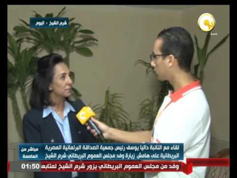 بالفيديو لقاء مع النائبة في البرلمان المصري داليا يوسف