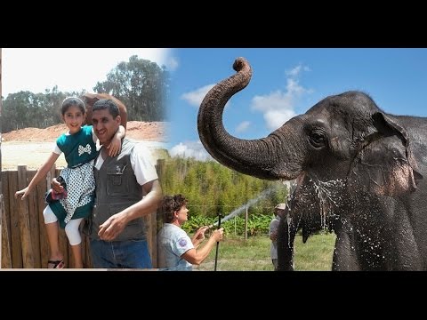 أب الطفلة التي قتلها فيل حديقة الرباط يكشف حقائق مثيرة و جديدة