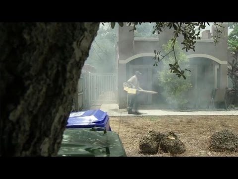 بالفيديو مسؤولون اميركيون يدعون الحوامل لتجنب منطقة انتشار فايروس زيكا في ميامي