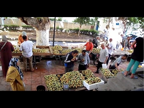 تجارة الهندية فاكهة الصبر في سوق الحاجب