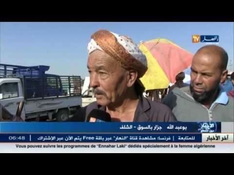 بالفيديو تعرف على أهم الأخبار في الجزائر الجمعة