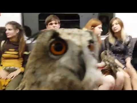 شاهد سيرك في مترو الأنفاق في روسيا