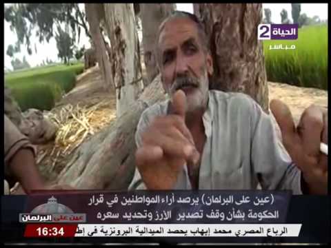 بالفيديو أراء المواطنين في قرار الحكومة بشأن وقف تصدير الأرز وتحديد سعره