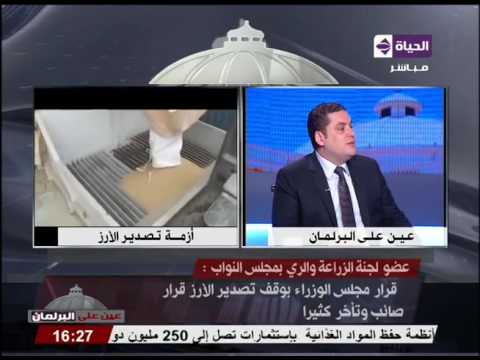 بالفيديو عضو لجنة الزراعة يؤكد أن  قرار مجلس الوزراء بوقف تصدير الأرز صائب
