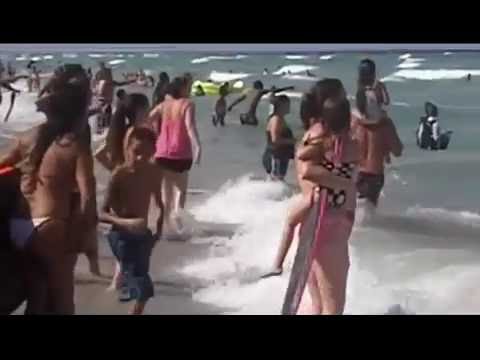 شاهد ظهور قرش في شاطئ عين الذياب