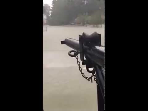 بالفيديو شاهد أميركى يعوم فى بركة مياه بالشارع