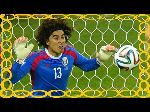 بالفيديو أسرع قطار في العالم يدخل الخدمة في الصين