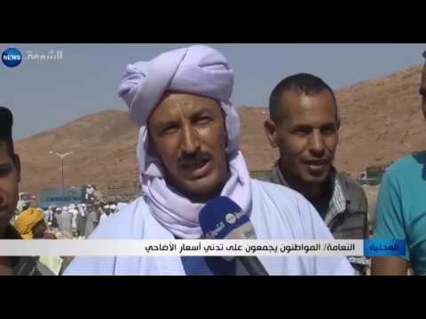 بالفيديو المواطنون يجمعون على تدني أسعار الأضاحي