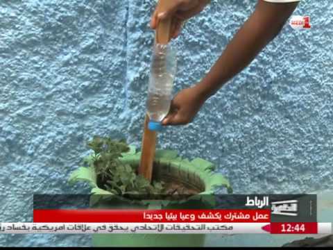 عمل مشترك يكشف وعيا بيئيا جديدا في زنقة الشفاء في العاصمة الرباط