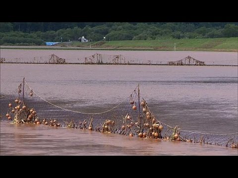 بالفيديو قتيل وعشرات الجرحى جراء إعصار ضرب اليابان