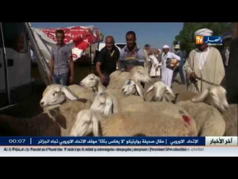 اسعار منخفضة و عيد باقل التكاليف في الجزائر