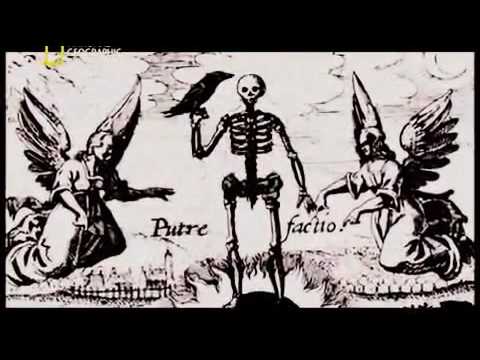 توثيق حكايات حقيقية عن سفن الأشباح والجن