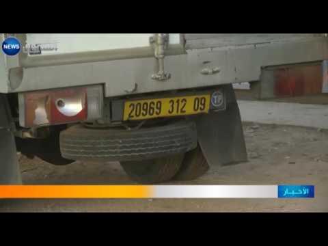 13 ألف شجرة مثمرة عرضة للضياع في البيض