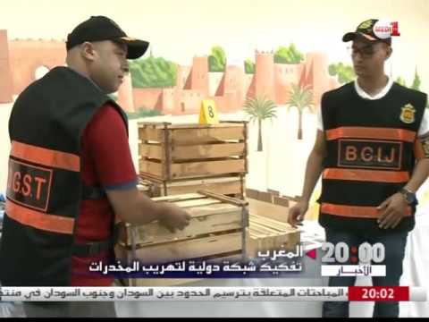 تفكيك شبكة دولية لتهريب المواد المخدرة في المغرب