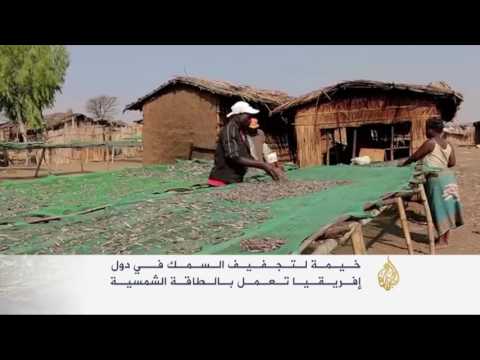 شاهد بيوت زجاجية لتجفيف الأسماك في ملاوي