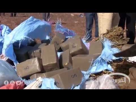 إتلاف 10 مليار سنتيم من مختلف أنواع المخدرات في مديونة