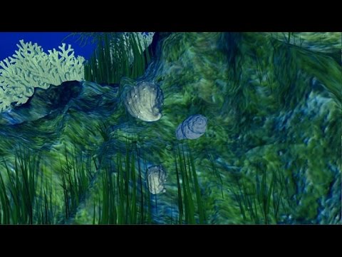 زيادة حموضة المحيطات بسبب انبعاثات الغازات الدفيئة