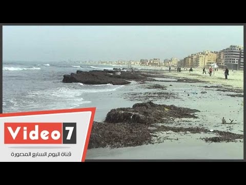 مخلفات البحر والقمامة تغطي شاطئ  في العجمي