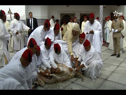 شاهد لحظة نحر الملك محمد السادس لأضحيته بمسجد أهل فاس في الرباط