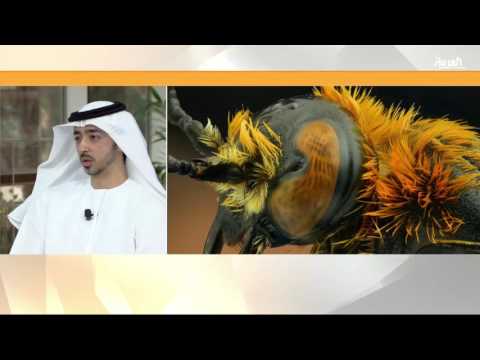 بالفيديو  شاهد الحشرات عن قرب