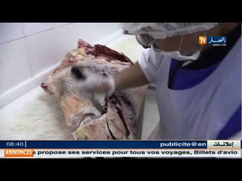 كواليس تحضير أطباق المسافرين