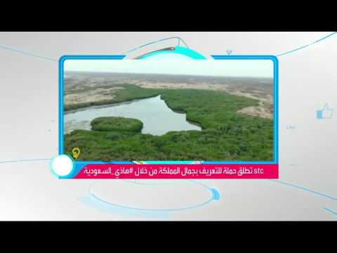 حملة وطنية في حب السعودية لكشف جمالها وثقافتها الغنية