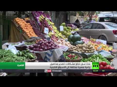 شاهد بحث سبل تجاوز مشكلات تصدير محاصيل زراعية مصرية