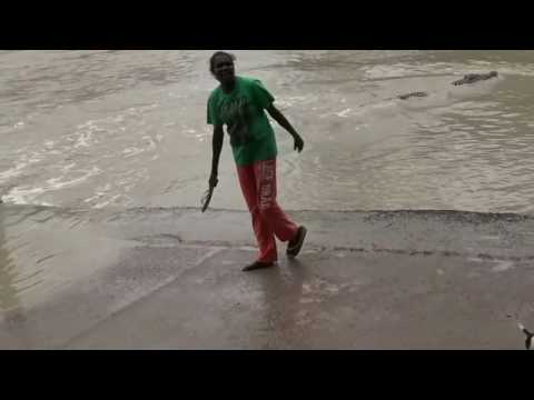 أسترالية تثير رعب تمساح ضخم